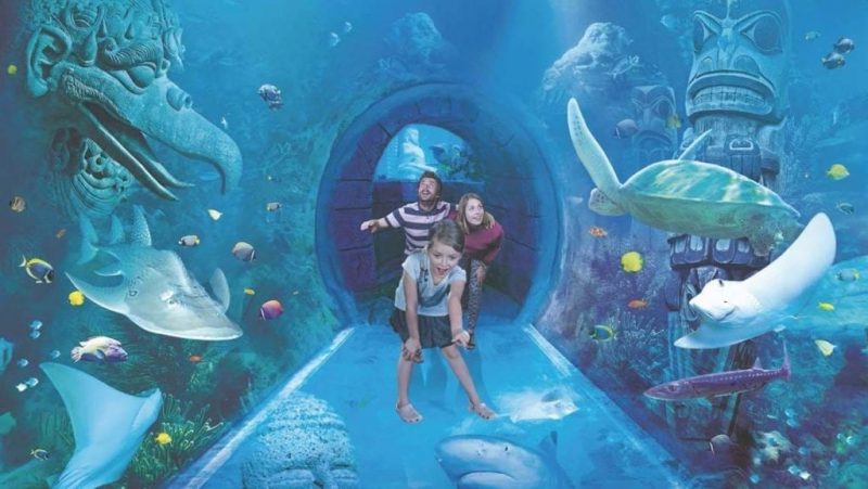 things for kids to do in orlando